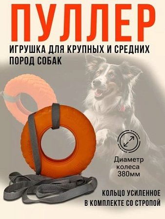 Игрушка для собак кольцо, цвет оранжевый - Обувь ЭВА для мужчин, женщин и детей от производителя Колесник
